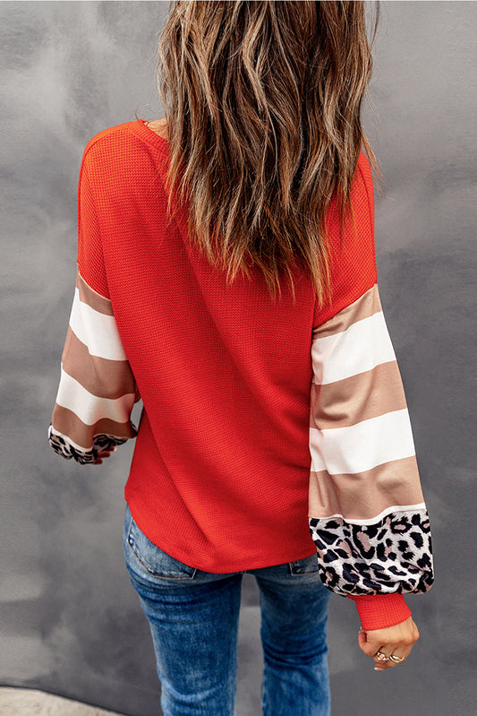 Hello Pumpkin Graphic Leopard Striped Colorblock Sleeve V Neck Top